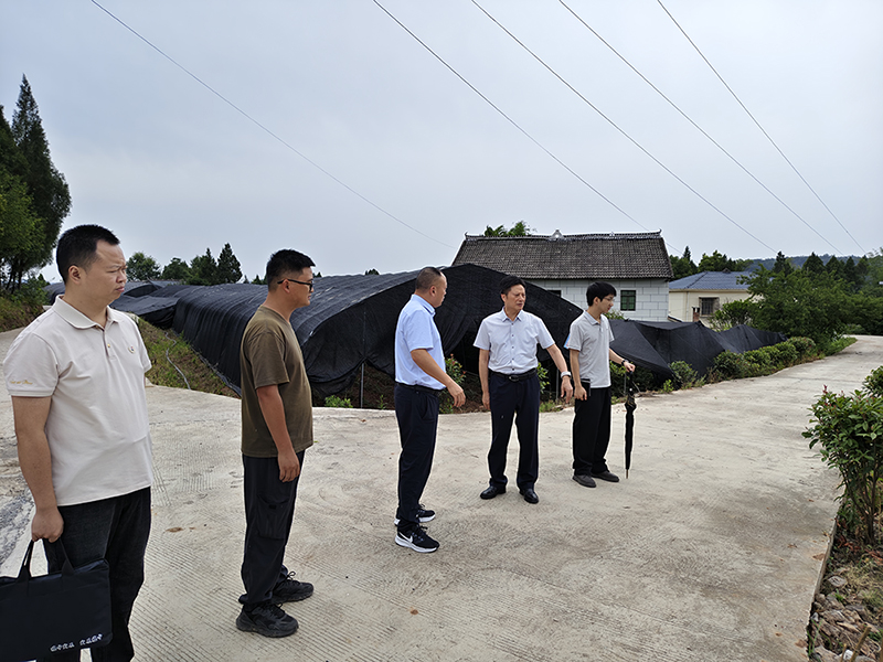 巴中發(fā)展集團開展安全生產(chǎn)暗訪督查